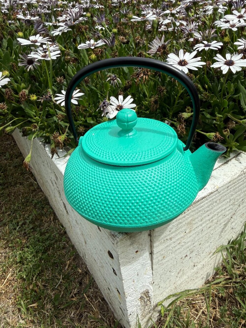 Green/ Blue/ Teal Cast Iron Teapot Teavana Brand New